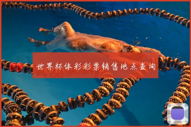 世界杯体彩彩票销售地点查询